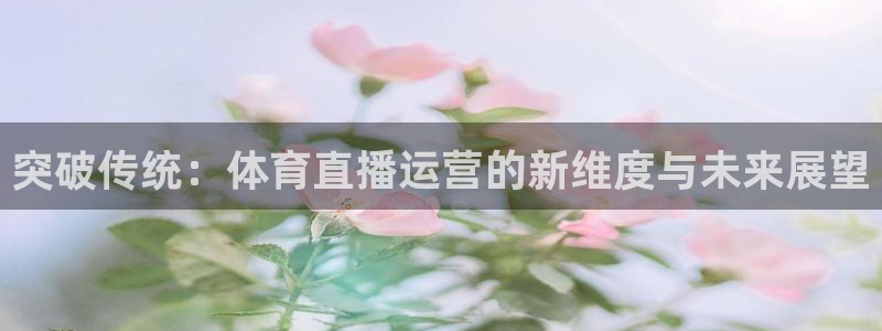 山猫体育直播足球：突破传统：体育直播运营的新维度与未来展望