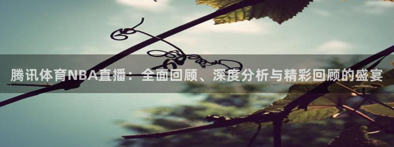 山猫直播体育在线观看：腾讯体育NBA直播：全面回顾、深度分析与精彩回顾的盛宴