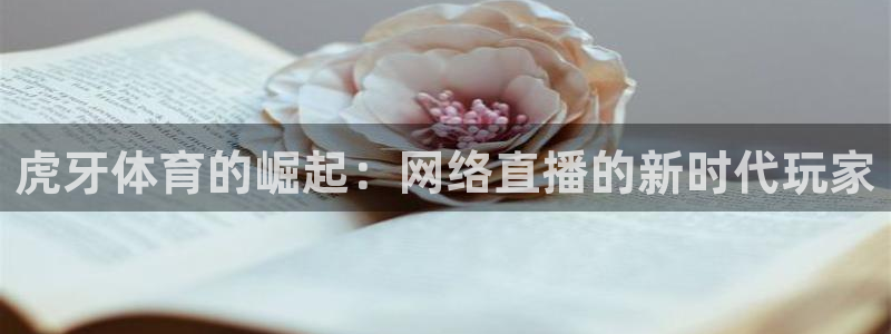 山猫体育免费直播篮球：虎牙体育的崛起：网络直播的新时代玩家