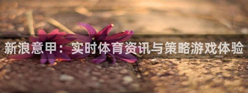 山猫体育足球比赛直播：新浪意甲：实时体育资讯与策略游戏体验