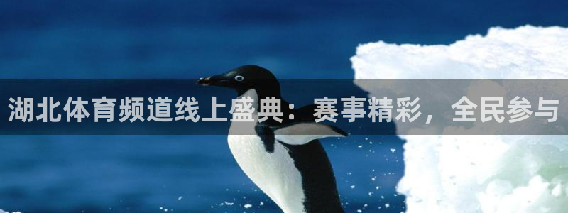 山猫nba体育直播在线观看：湖北体育频道线上盛典：赛事精彩，全民参与