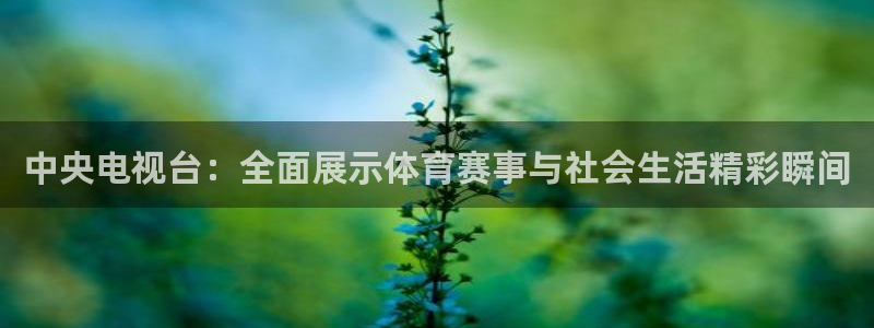 山猫直播免费足球直播：中央电视台：全面展示体育赛事与社会生活精彩瞬间