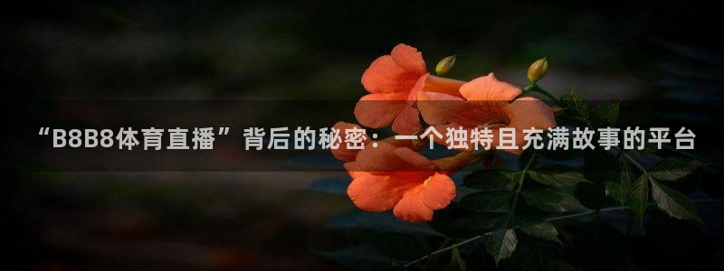 山猫看球免费高清直播：“B8B8体育直播”背后的秘密：一个独特且充满故事的平台