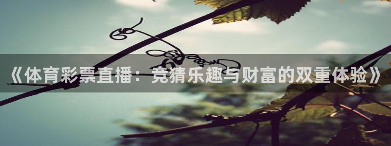 nba山猫直播体育：《体育彩票直播：竞猜乐趣与财富的双重体验》