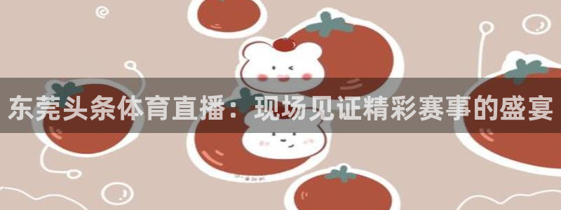 山猫直播足球免费观看：东莞头条体育直播：现场见证精彩赛事的盛宴