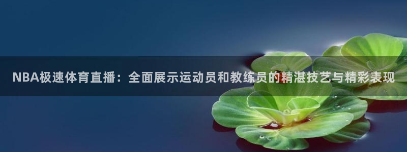 山猫足球比赛体育直播：NBA极速体育直播：全面展示运动员和教练员的精湛技艺与精彩表现