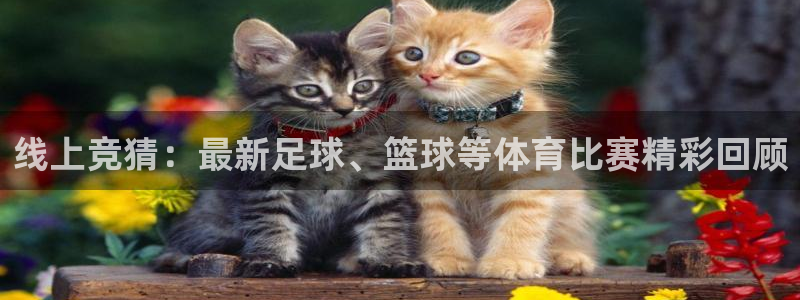 山猫nba体育直播：线上竞猜：最新足球、篮球等体育比赛精彩回顾