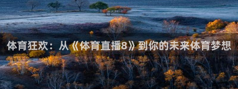 山猫篮球直播平台：体育狂欢：从《体育直播8》到你的未来体育梦想