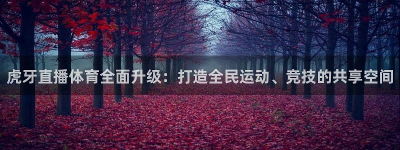 山猫直播足球免费直播在线观看：虎牙直播体育全面升级：打造全民运动、竞技的共享空间