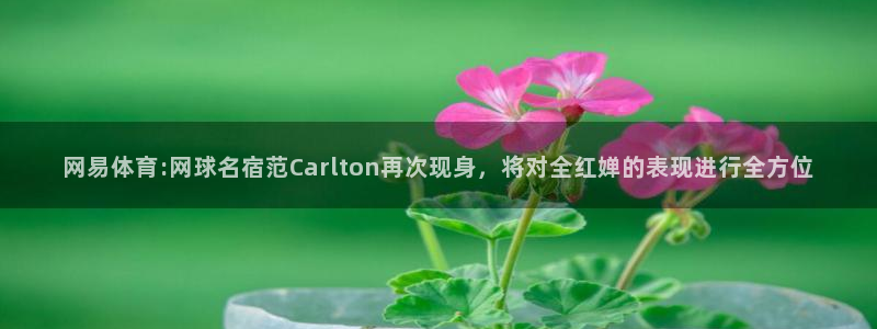 山猫体育免费直播篮球cba：网易体育:网球名宿范Carlton再次现身，将对全红婵的表现进行全方位